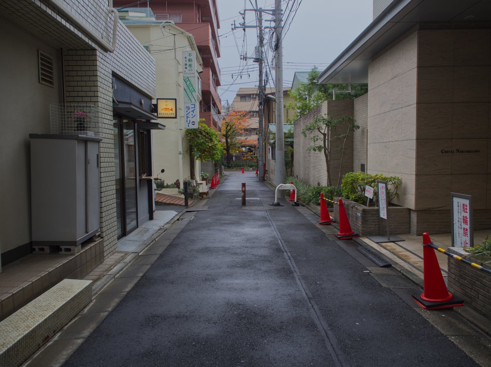 A street in Nakameguro