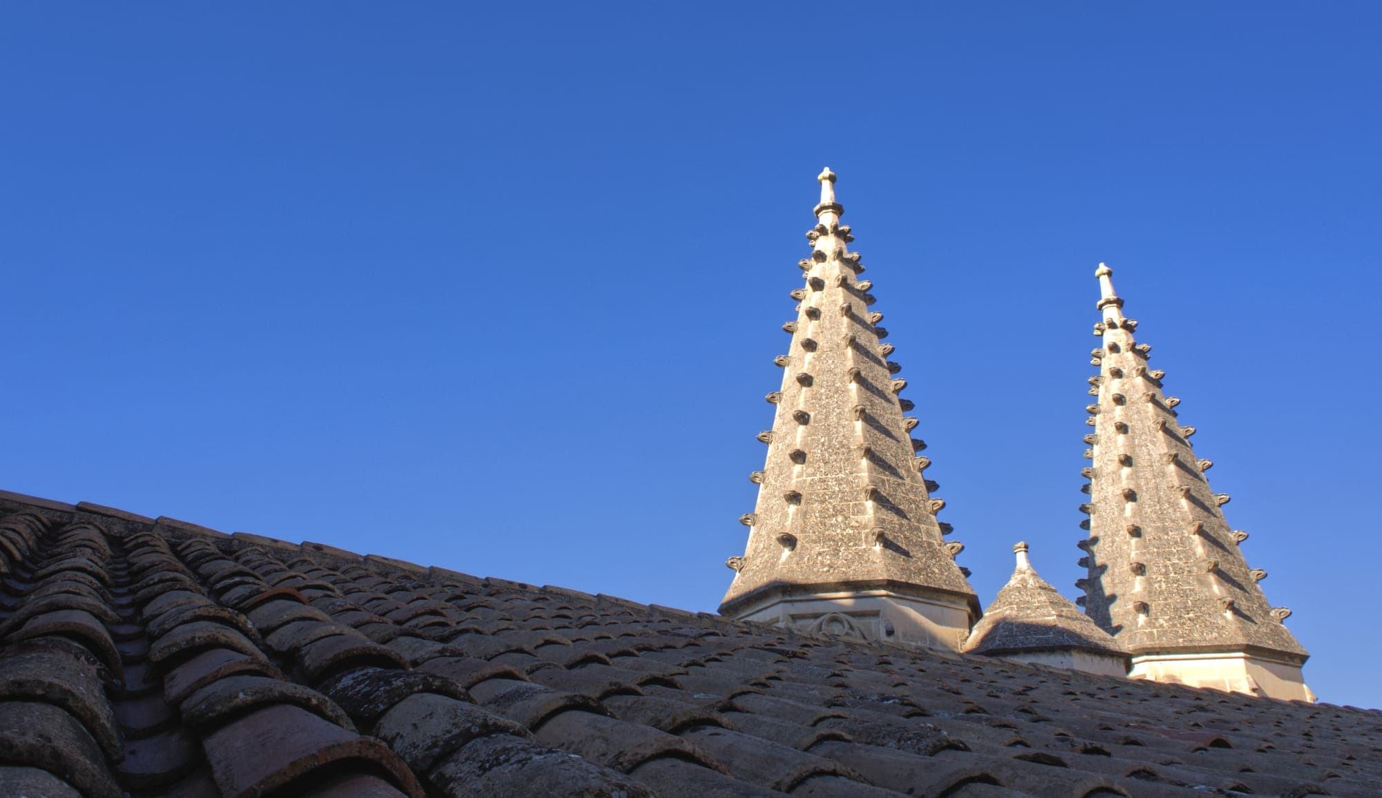 Roof of Palais des Papes in Avignon