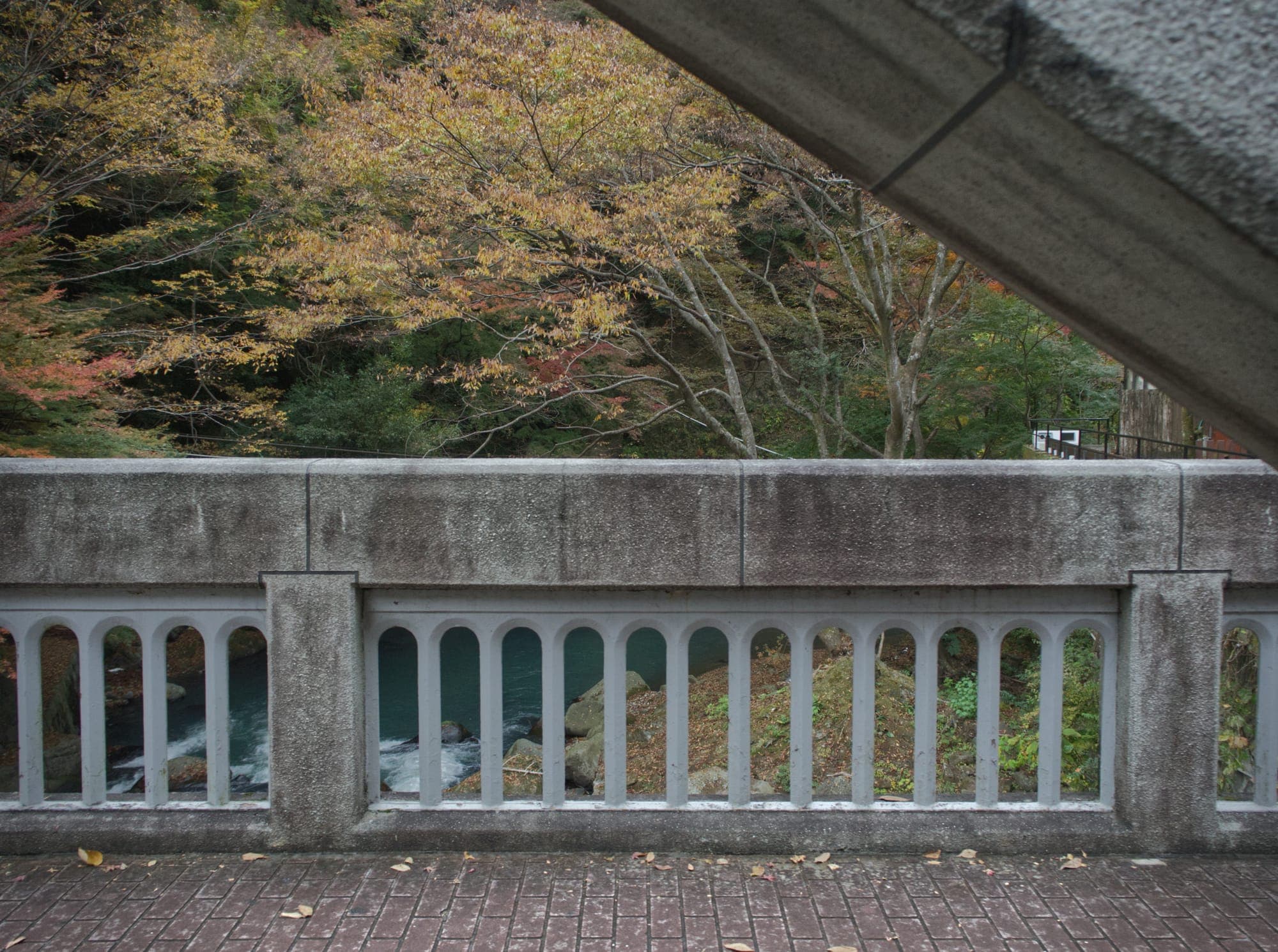 A bridge in Hakone Japan