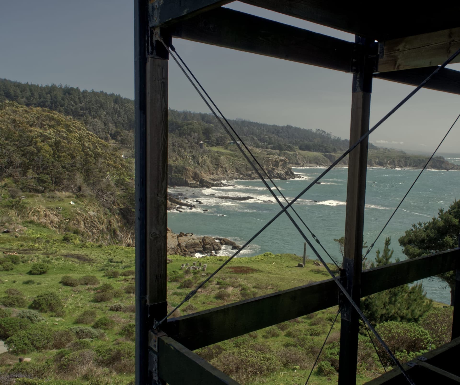 Timber Cove