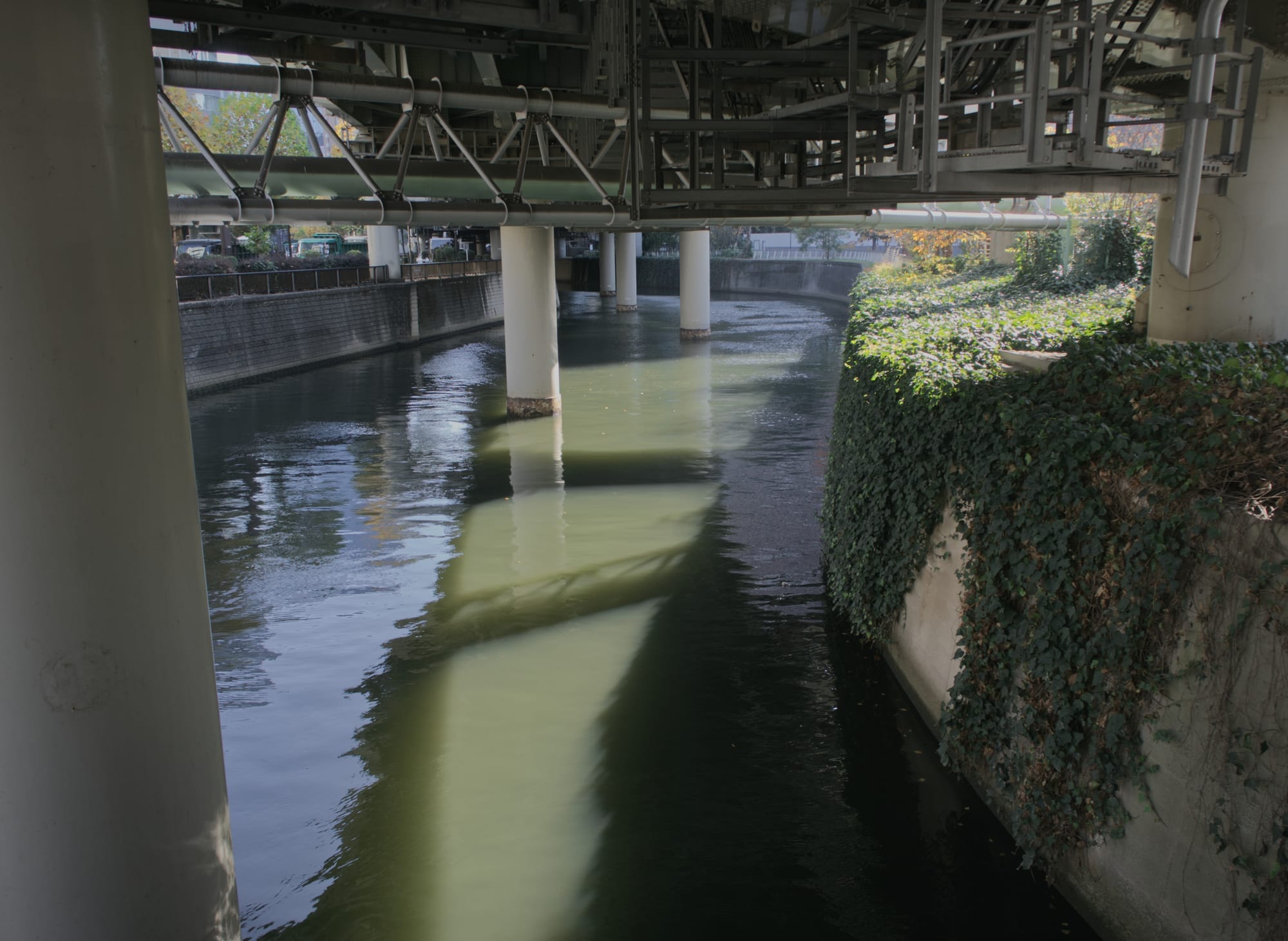 Under a bridge in Tokyo