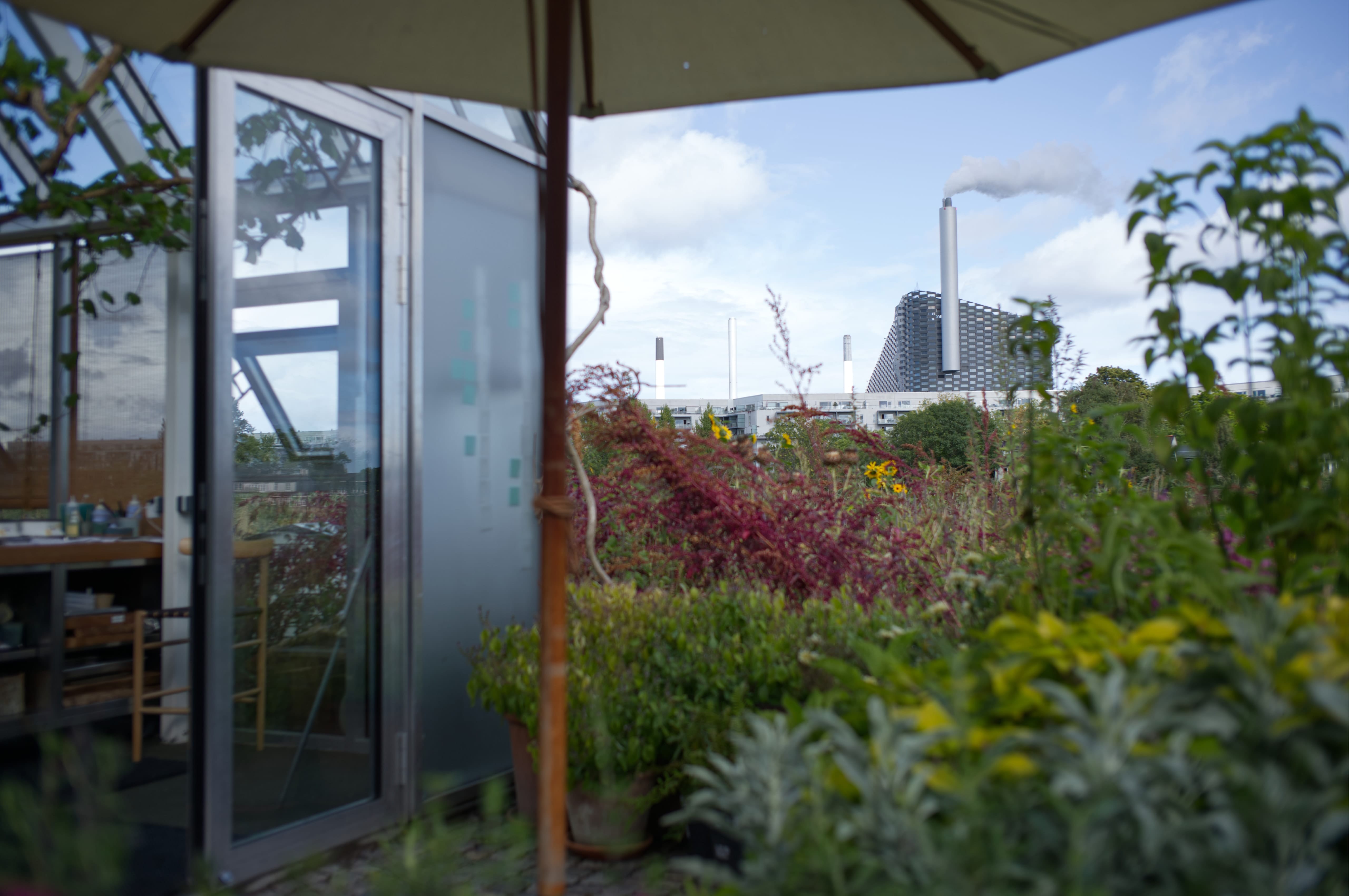 CopenHill and its smokestack seen beyond a greenhouse garden
