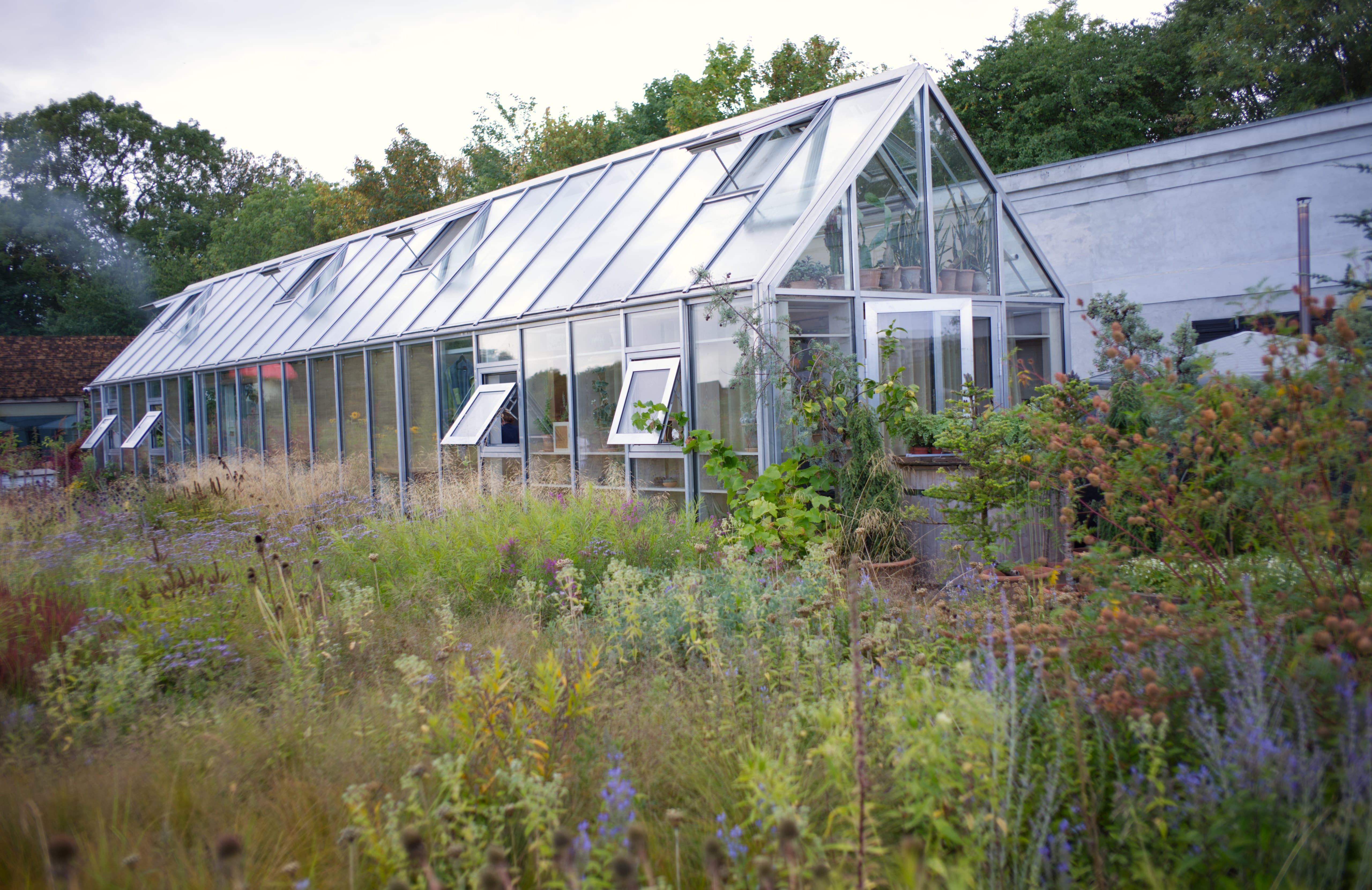 A glass greenhouse surrounded by a lush garden
