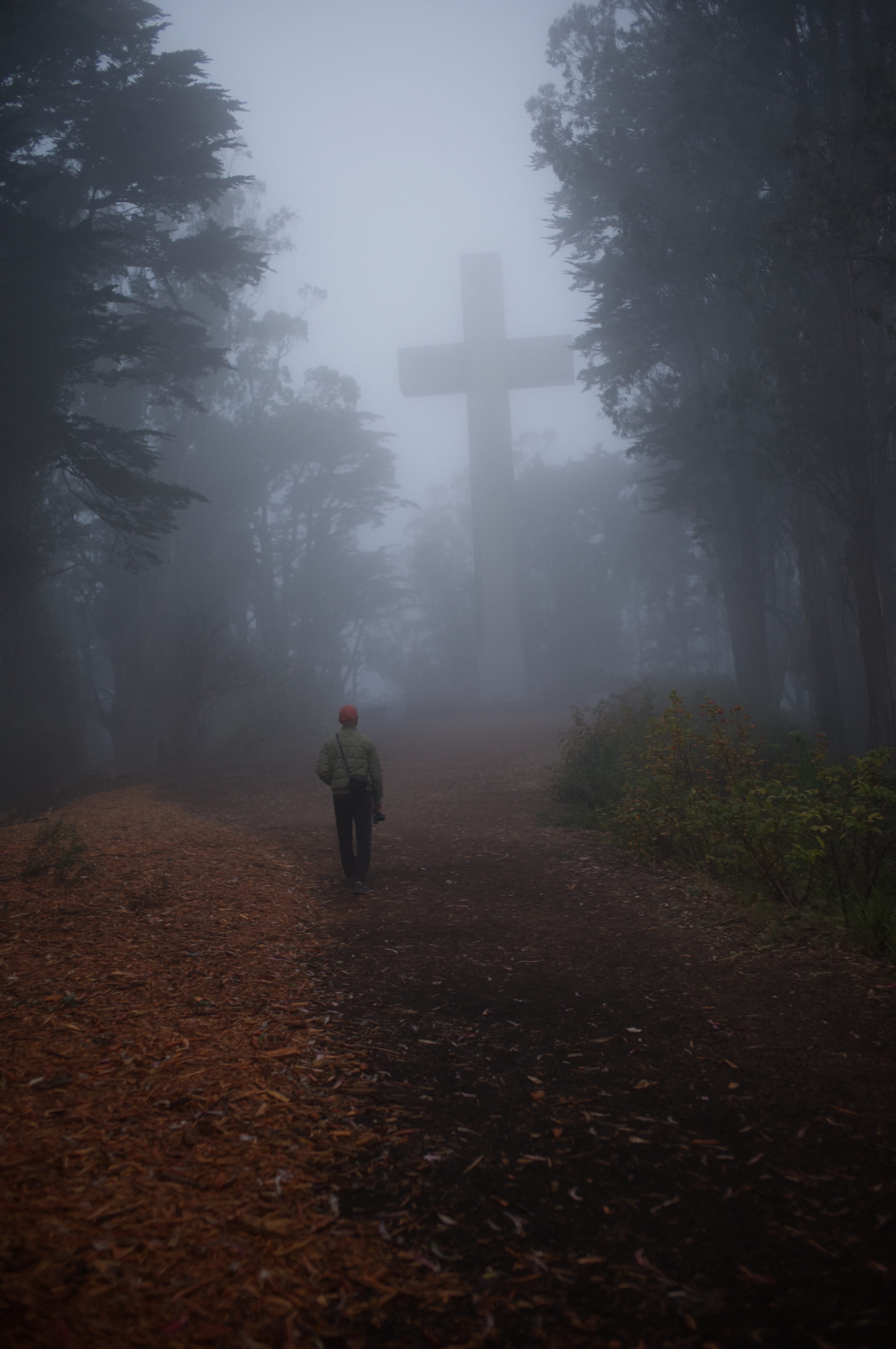 A person walking toward the Mount Davidson cross along a foggy path framed by trees