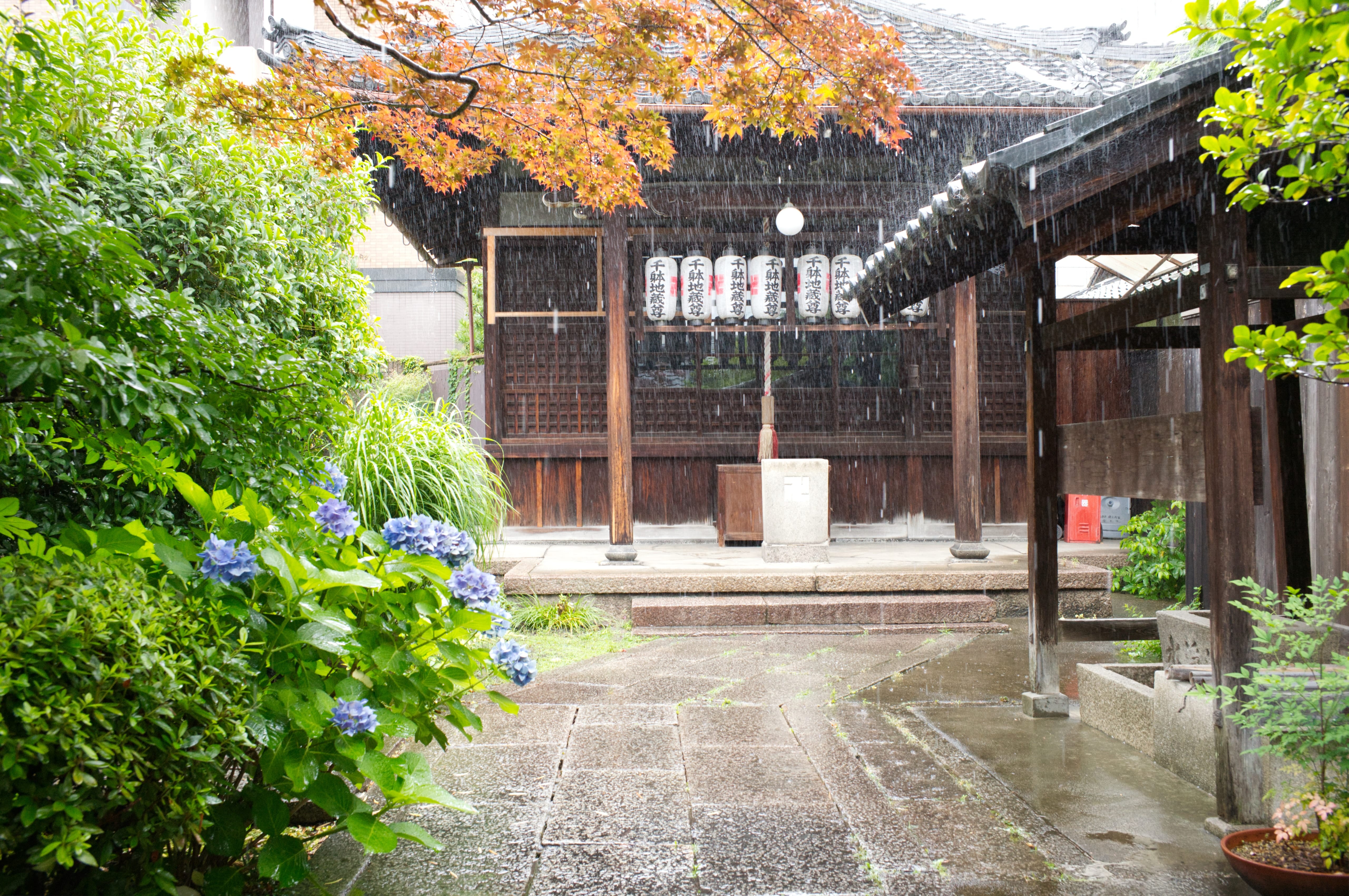 Rain falling over the courtyard at Jōkō-in Temple in Kyoto
