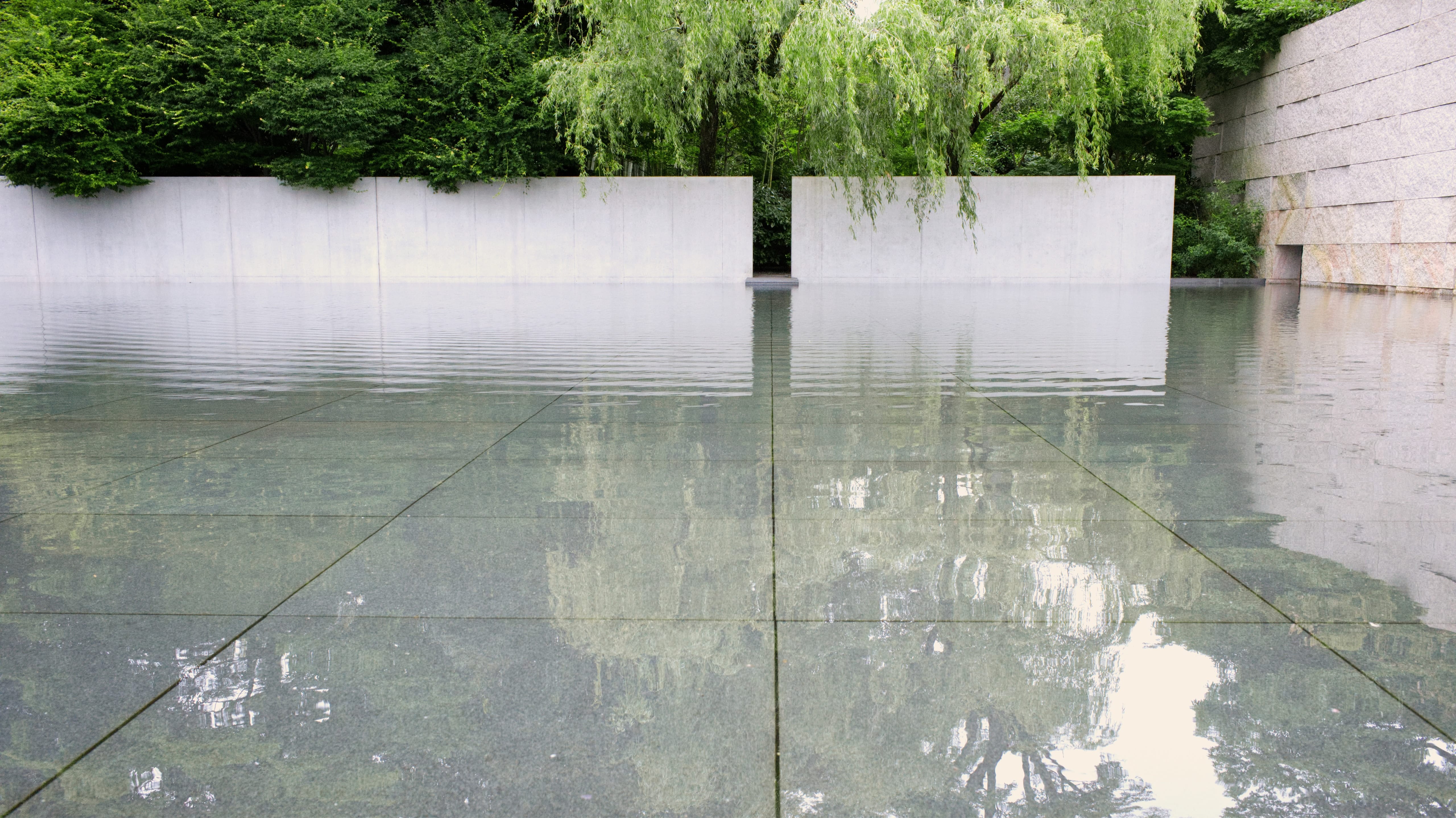 A reflecting pool with white concrete walls and willow trees at the D. T. Suzuki Museum