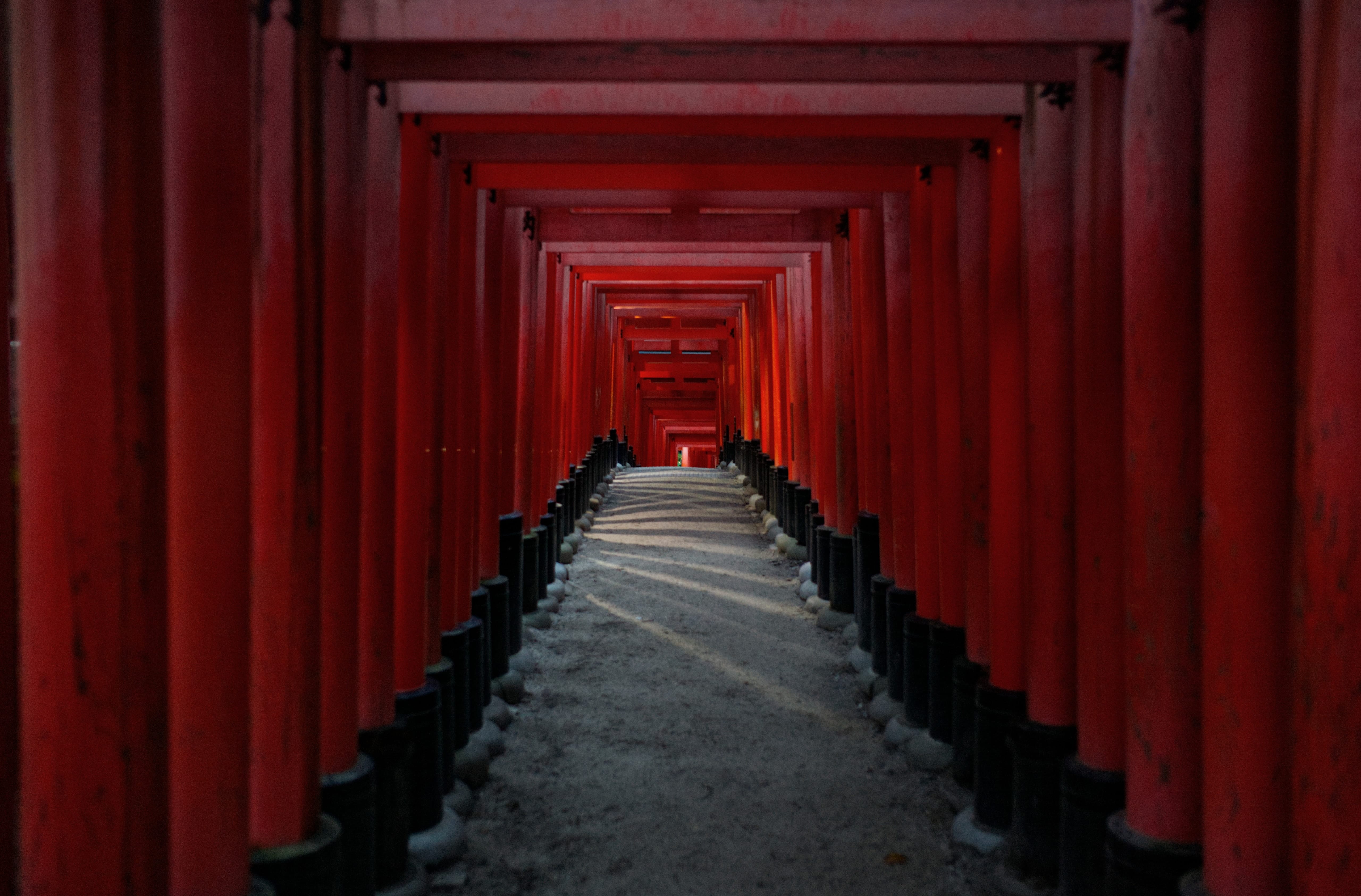A path through red torii gates at Fushimi Inari-taisha