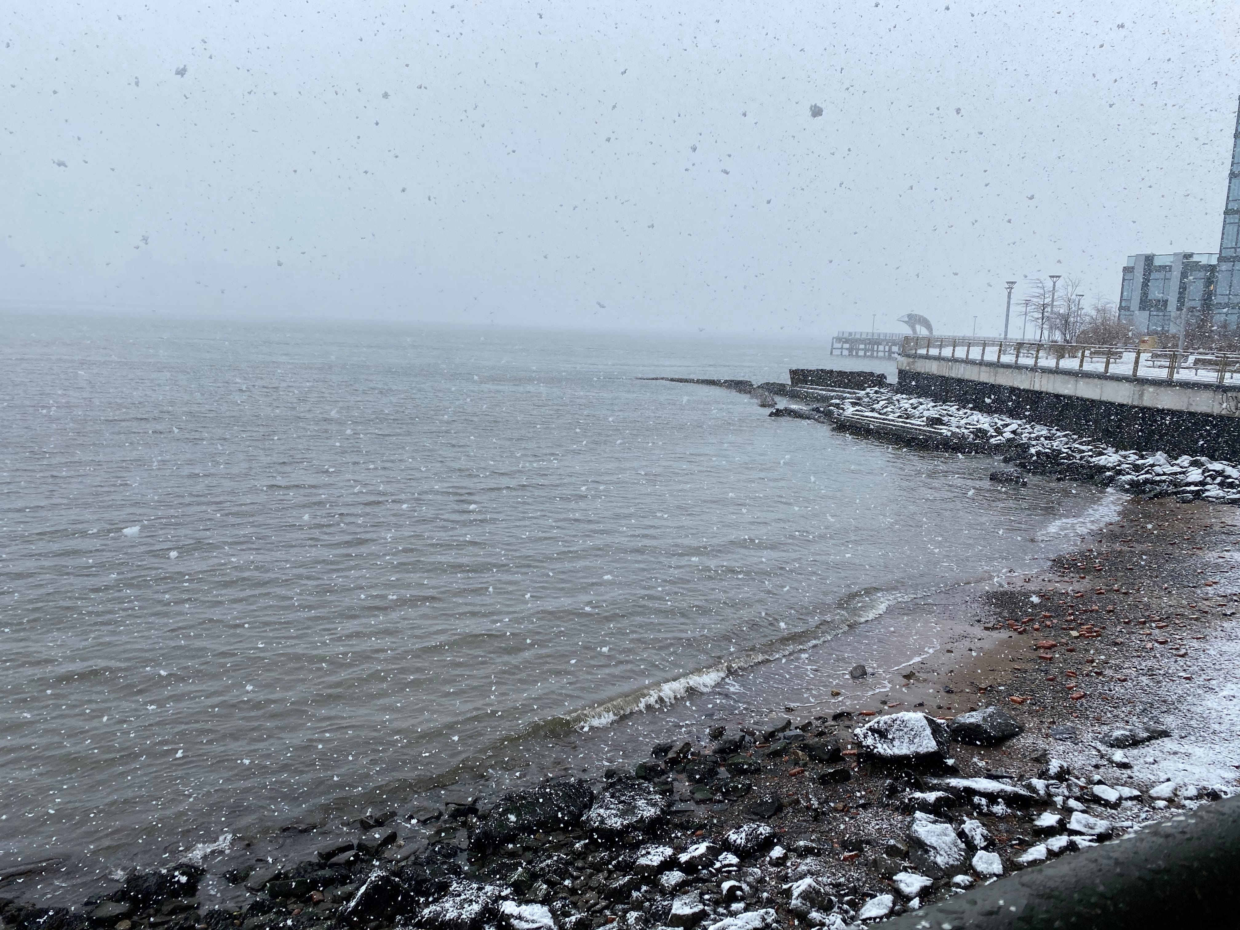 Snowstorm over the East River from Williamsburg