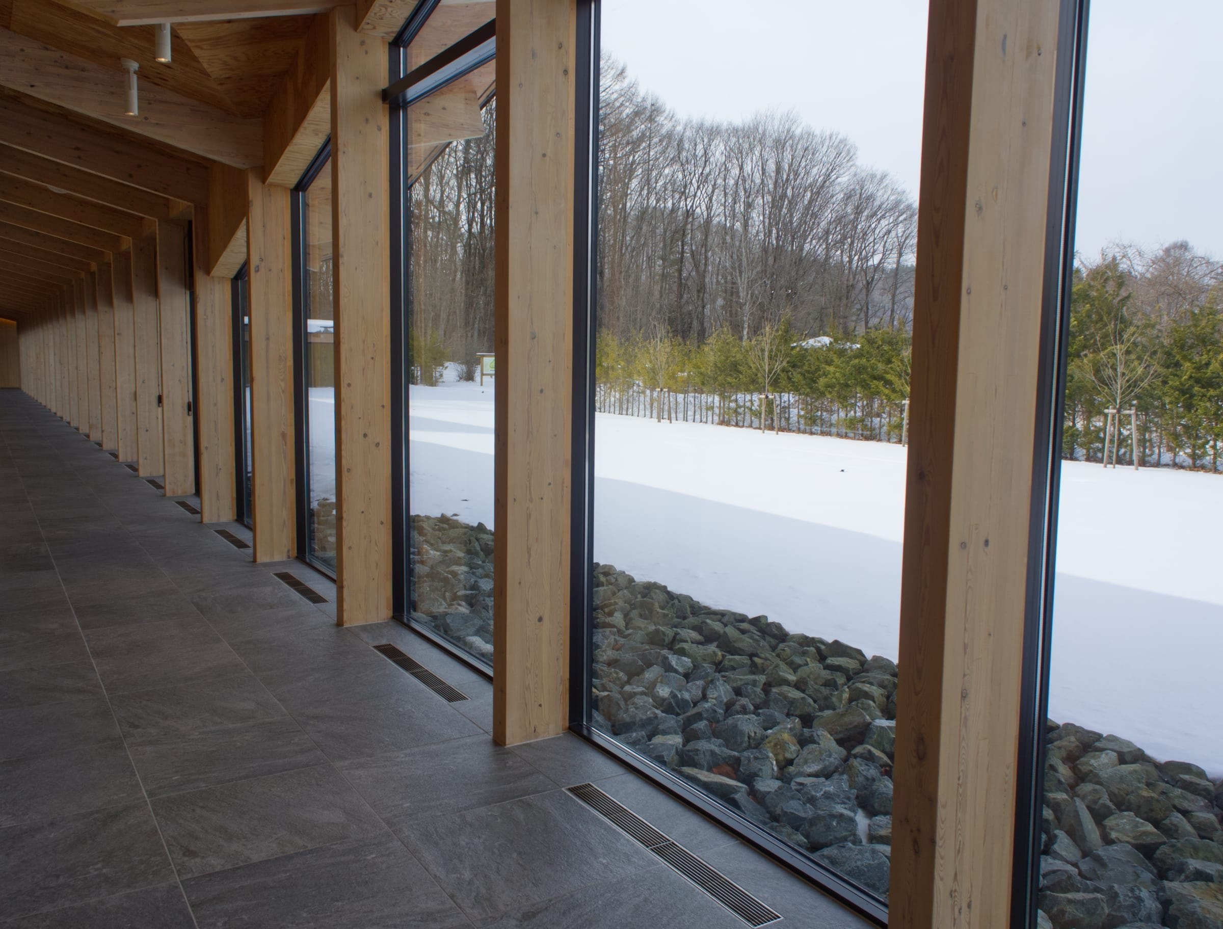 Wood-framed windows along the studio facade