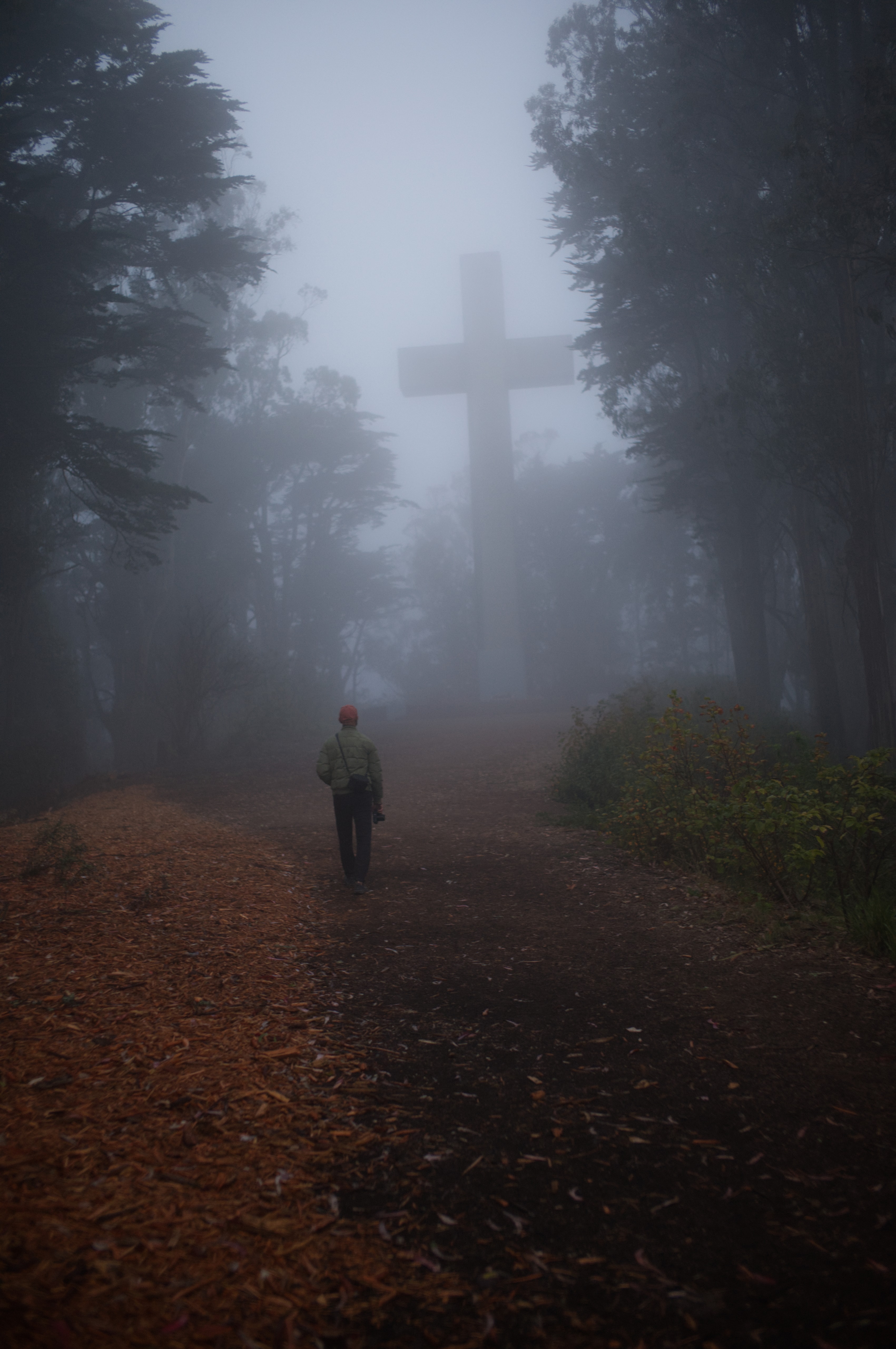 A person walking toward the Mount Davidson cross along a foggy path framed by trees