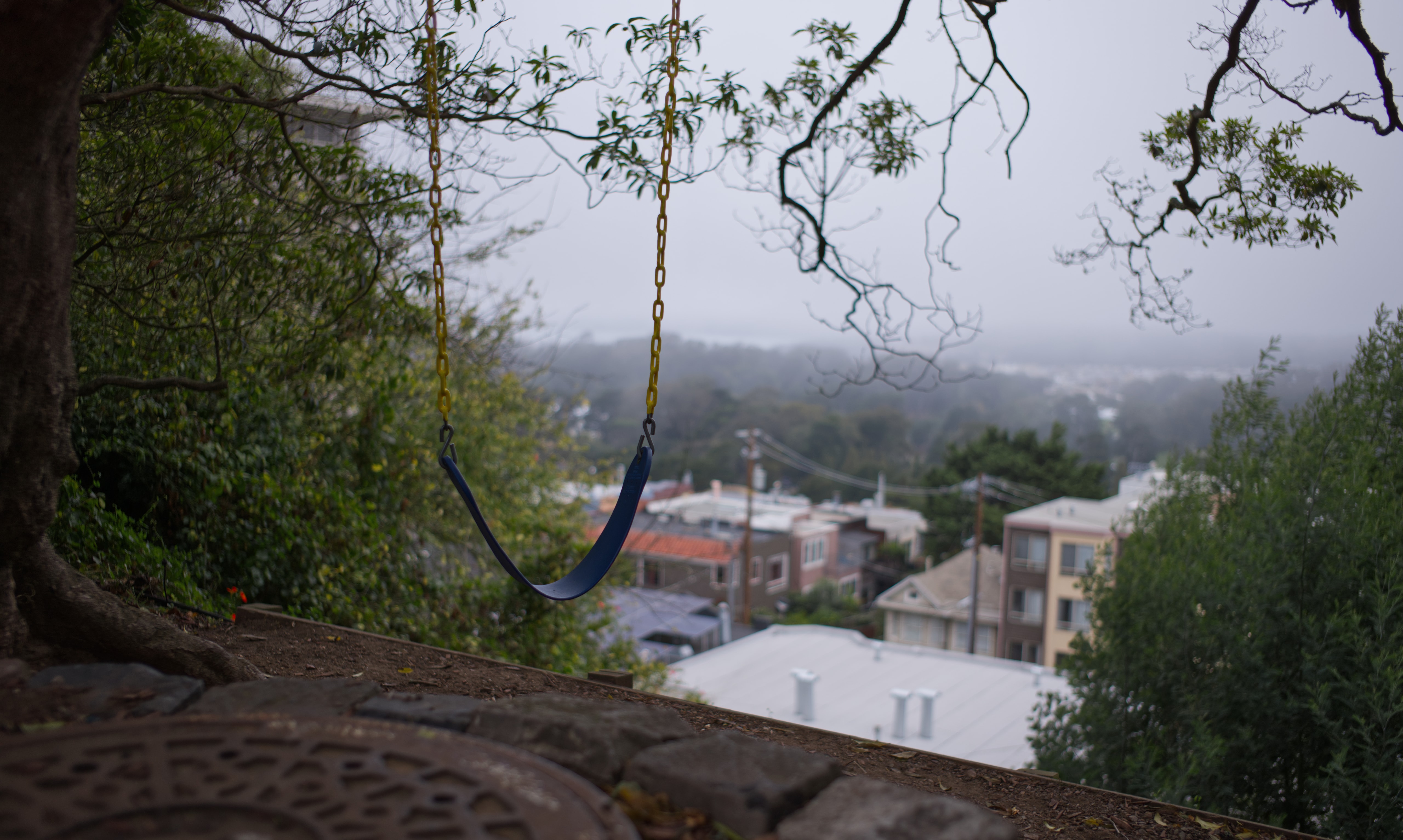 Two blue swing seats hanging beneath leafy branches, overlooking San Francisco rooftops and a foggy hillside