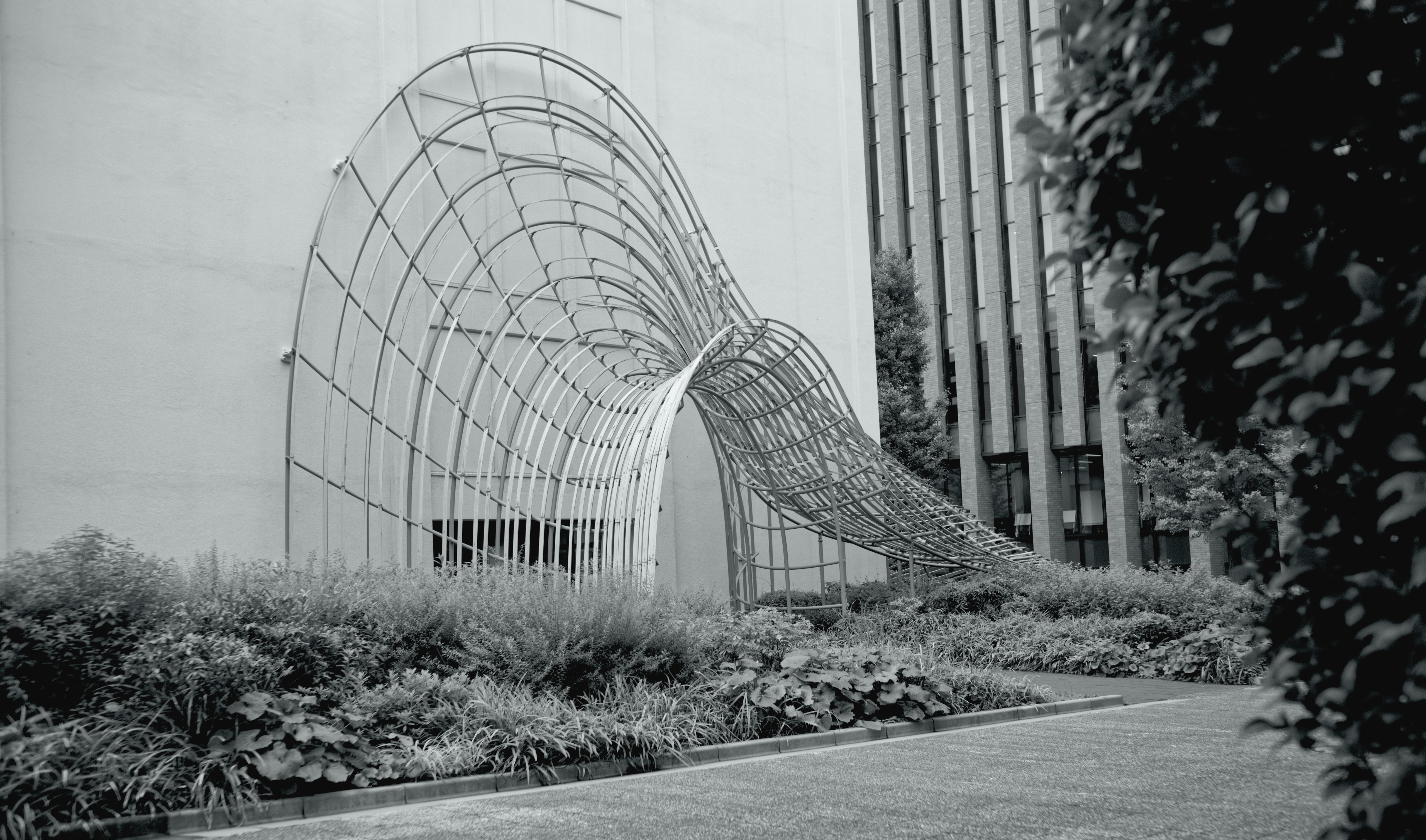 The exterior of the Haruki Murakami Library with a sculptural wire-frame passageway
