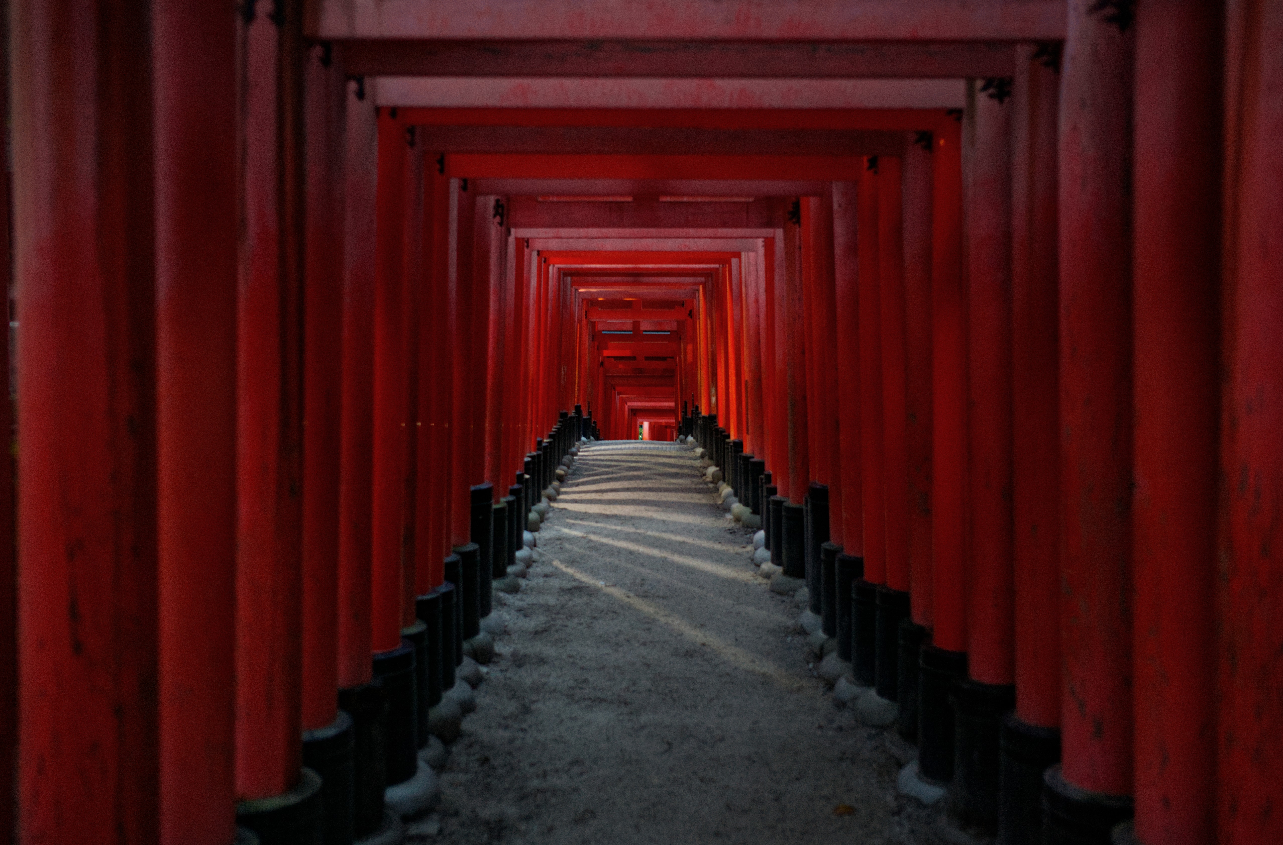 A path through red torii gates at Fushimi Inari-taisha